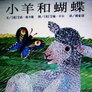 《小羊和蝴蝶》朗读:娟子
