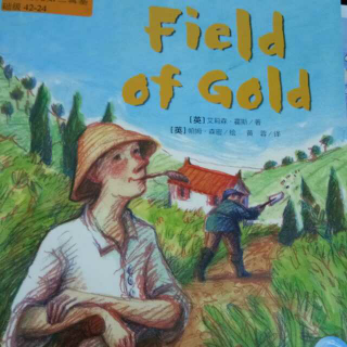 Field  of gold