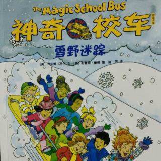 神奇校车第五辑 雪野迷踪