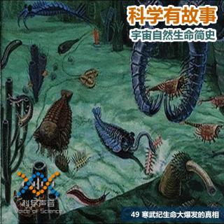 寒武纪生命大爆发意义 2661449242032223751_320x320.jpg