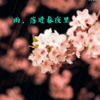 《雨，落进春夜里》作者：水晶.简  诵读：蝴蝶仙子