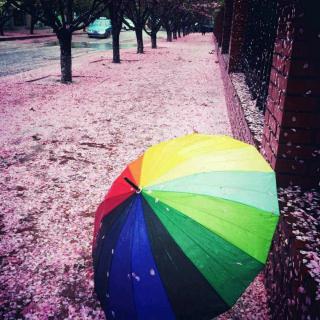 💦《雨，落进春夜里》
文/水晶•简  诵读：蝴蝶仙子