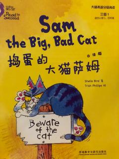 13-Sam the big,bad cat捣蛋的大猫萨姆