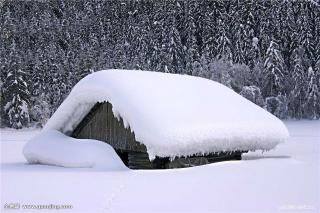 梦之雪～黄小玲