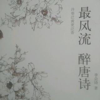 《最风流 醉唐诗》4 画壁与文身