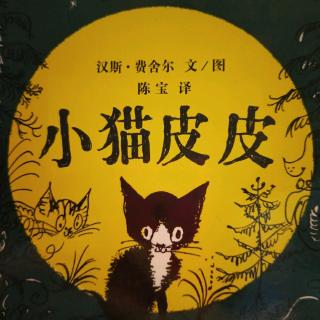 小猫皮皮