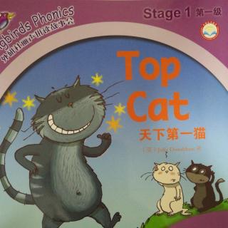 丽声拼读故事会～Top Cat