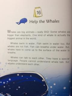 2-16 Help the whales