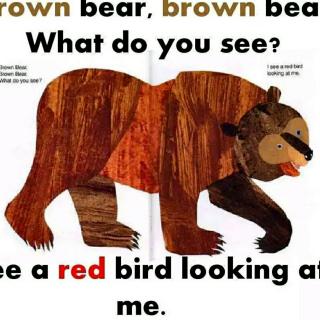 Brown bear 英国天线宝宝早教