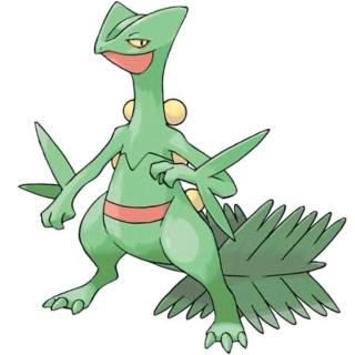 the enviorment water pollution