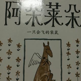 阿朵莱朵——一只会飞的袋鼠阿朵