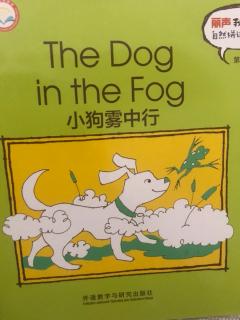 自然拼读故事书 押韵刺 og The Dog in the Fog