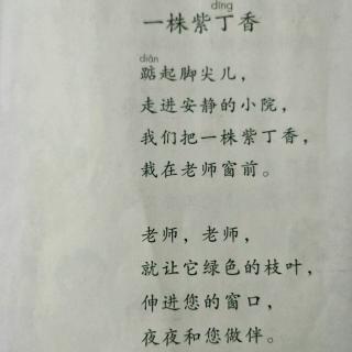 一株紫丁香