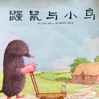 《鼹鼠与小鸟》