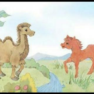 小骆驼和小红马