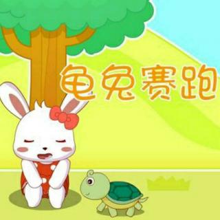 【第十五期】睡前故事《龟兔赛跑》