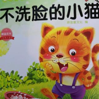 百子园三班 肖闻佳 不洗脸的小花猫