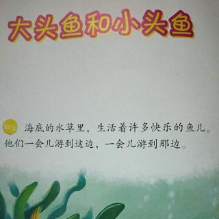 李梓晴亲子共读打卡第十九天大头鱼和小头鱼