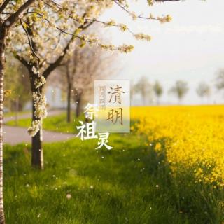 《清明节随记》莲心