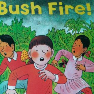 Bush fire
