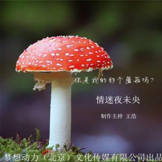 情迷夜未央-你是我的那个蘑菇