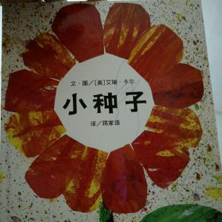 《小种子》