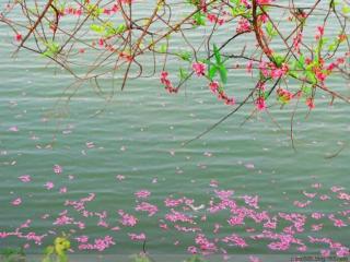 180404《洗桃花水的时节》节选 铁凝