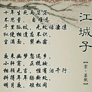 【清明】🌾【江城子】-苏轼