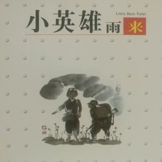 《小英雄雨来》一实小504班刘沐然