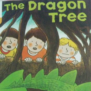 The dragon tree
