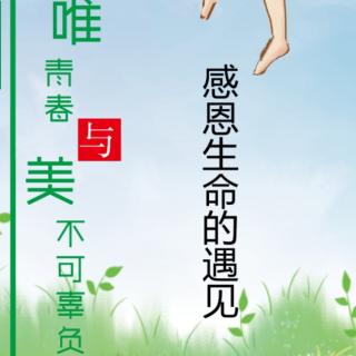 清明节  |  感恩生命的延续