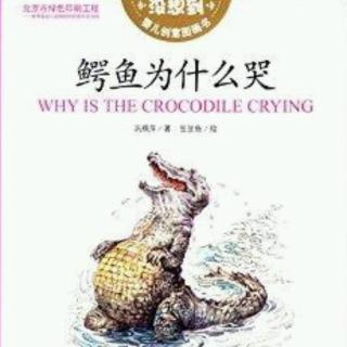 鳄鱼为什么哭