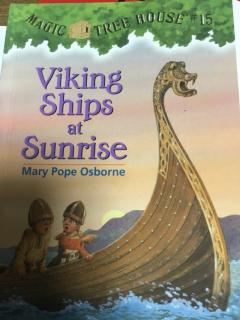 Viking ships at sunrise   5,6