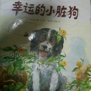 《幸运的小脏狗》