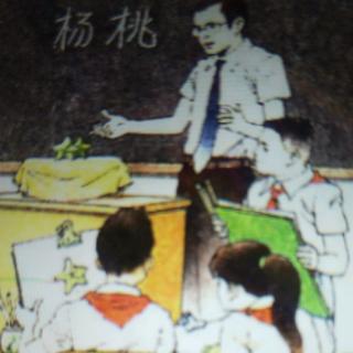 11画杨桃