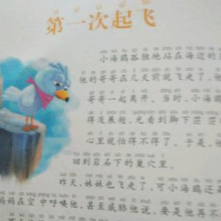 依宝讲故事12：《第一次起飞》