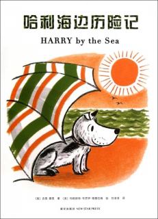 【71】Windy讲故事-《哈利海边历险记》