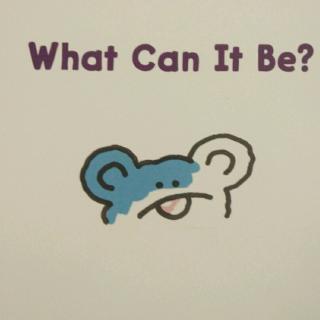 《What can it be》