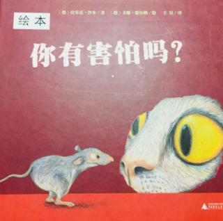 🍊小鑫哥哥的一百个故事《🐭你有害怕吗？》