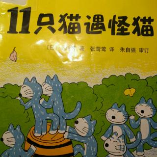 11只猫遇怪猫，新星出版社