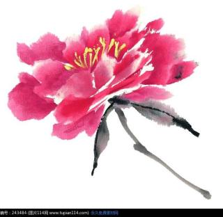 【20180408223500】在线收听_clark9592的播客_荔枝