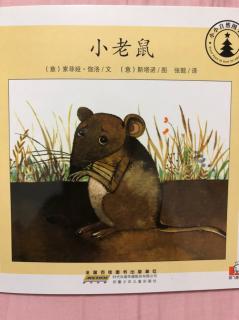 小小自然图书馆-小老鼠