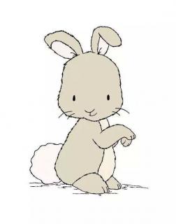 第114期-《一只耳朵的兔子》