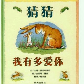 启诺国际幼儿园《猜猜我有多爱你》第八天