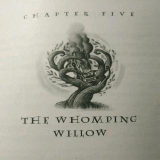 The  Whomping  Willow（1）