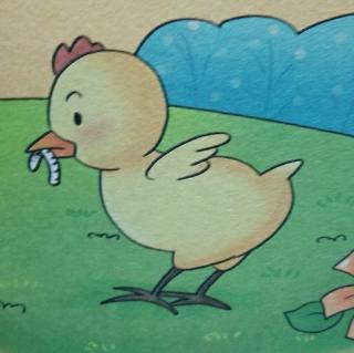 小鸡吃虫子卡通图片图片