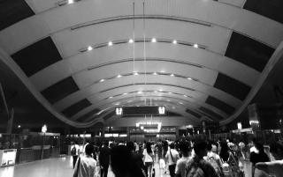 最完美的离婚2014sp