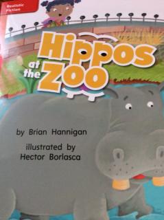 G2 Approach U2W1 - Hippos at the Zoo!