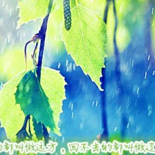 《雨中觉醒》