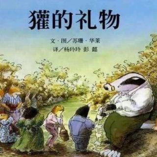 麦老师读绘本.7.《🌻獾的礼物》